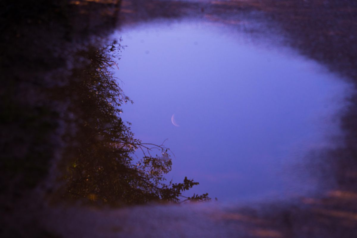 A serene crescent moon reflecting in a puddle surrounded by foliage, showing natural reflection of light examples