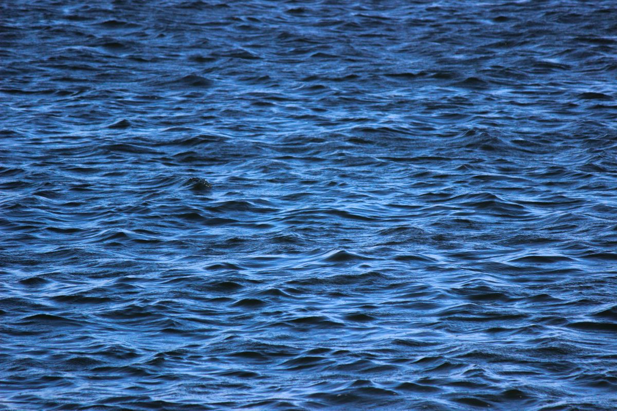 Calm ocean surface with gentle waves showing how water waves spread and diffract as they pass through narrow openings, illustrating how light bends during diffraction