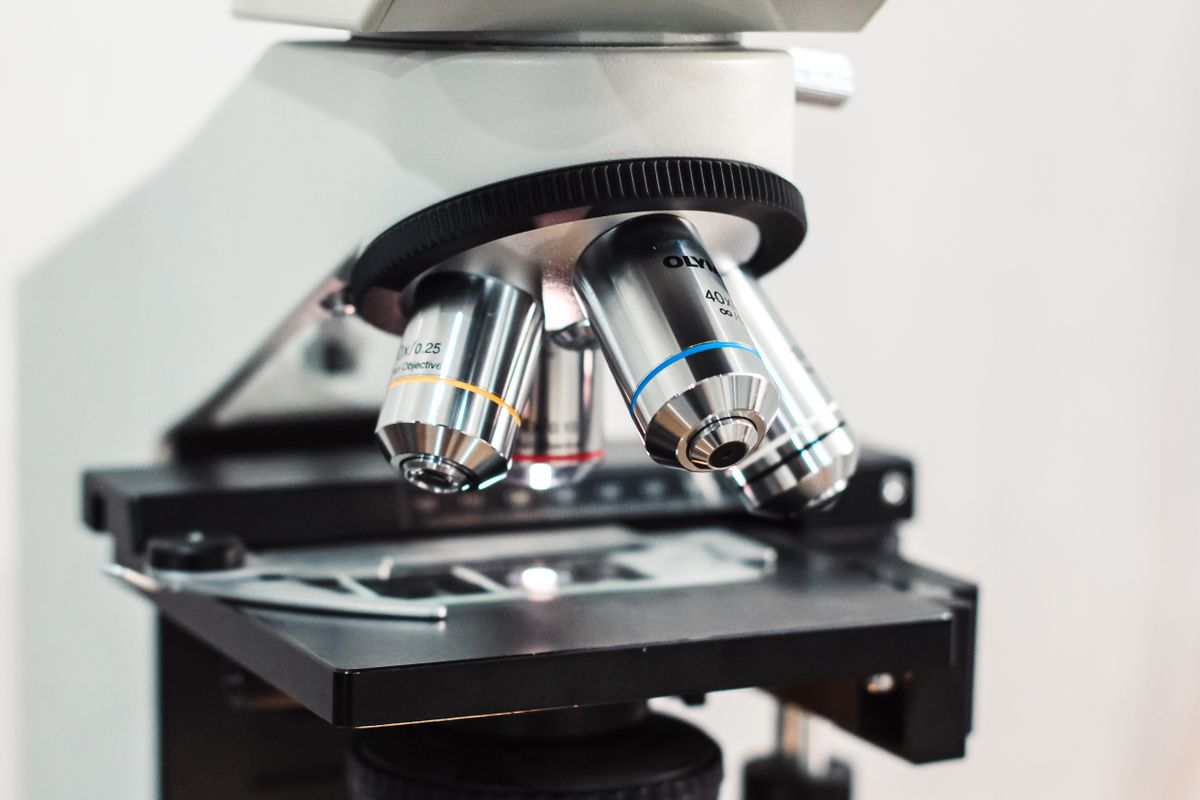 how does a microscope work detailed close-up of a microscope showing optical lenses on a light background