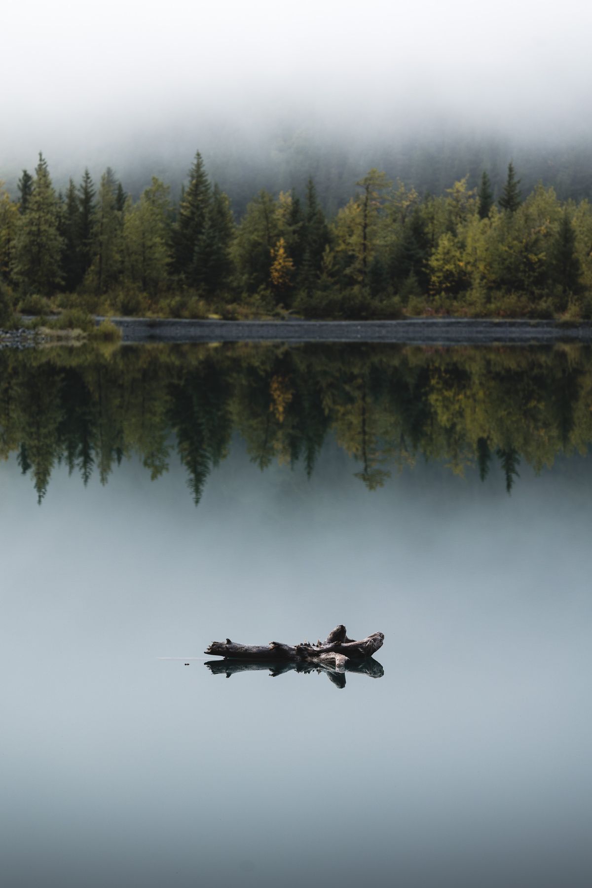 Mountain landscape reflected perfectly in a still alpine lake showing specular reflection of light