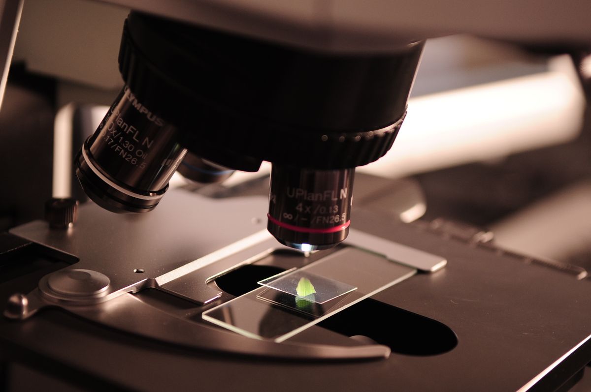 Laboratory microscope showing precision lenses that use refraction to magnify tiny specimens