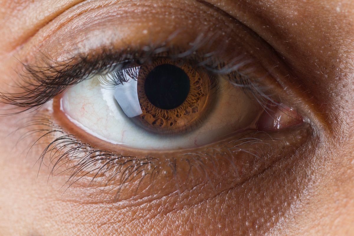 The optic nerve formula begins at the iris — a macro view of a human eye and its intricate detail