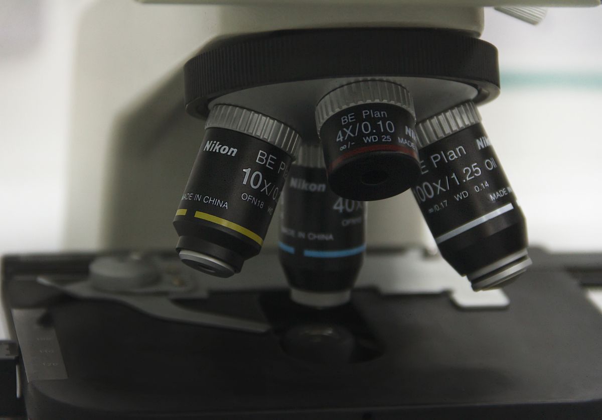 how does a light microscope work detailed view of optical microscope lenses in a laboratory setting