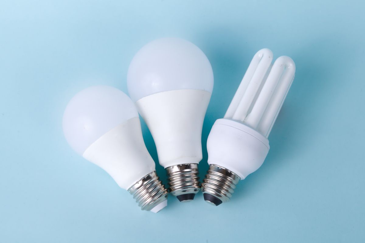 Assorted light bulbs of different types lined up for comparison