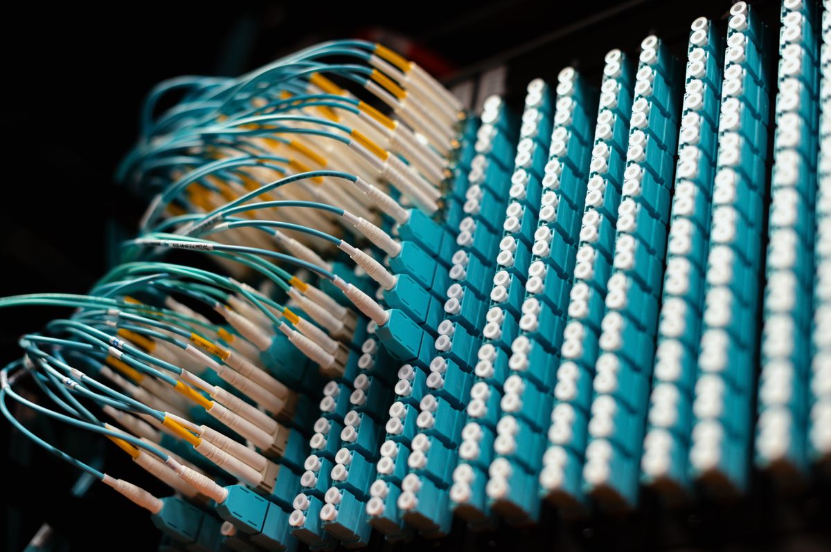 Comparing types of fiber optic cable: rows of identical blue single-mode cables connected in a patch panel