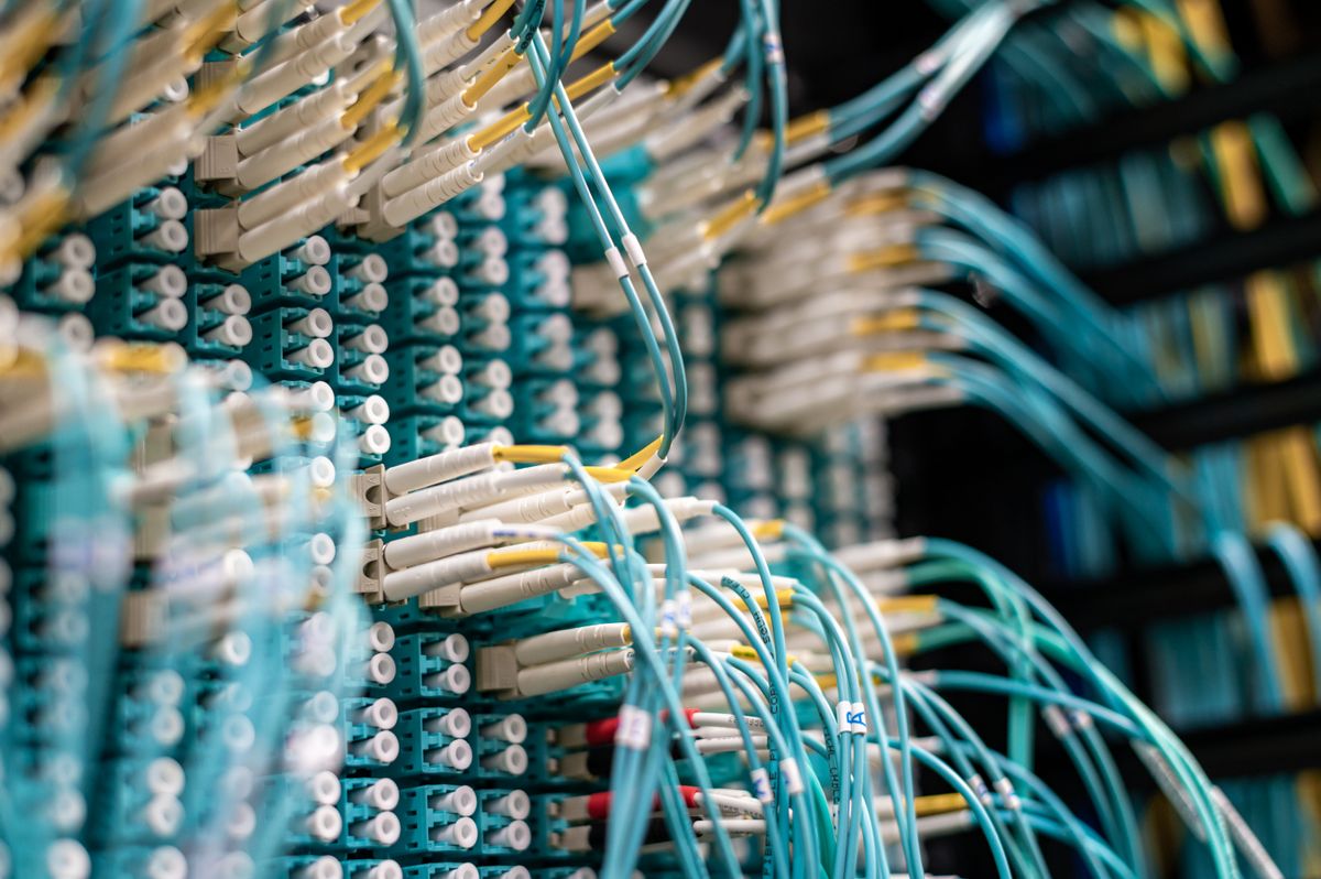 Long thin blue fiber optic cables connected to small white connectors showing the appearance of fiber patch cables