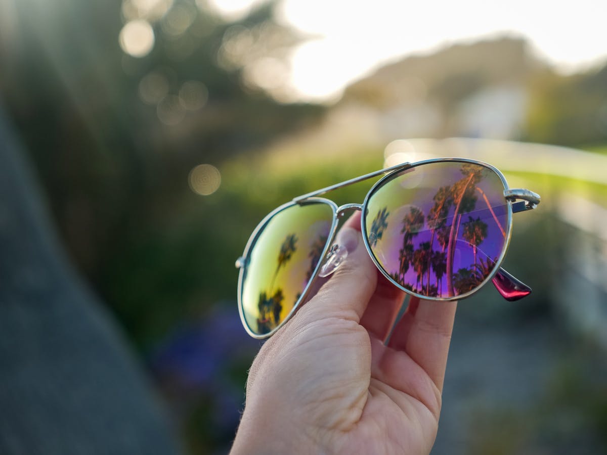 Sunglasses reflecting palm trees, polarisation cutting glare