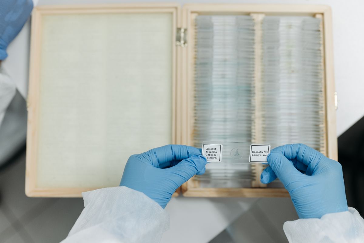 Preparing a specimen slide shows how does a light microscope work in a real laboratory