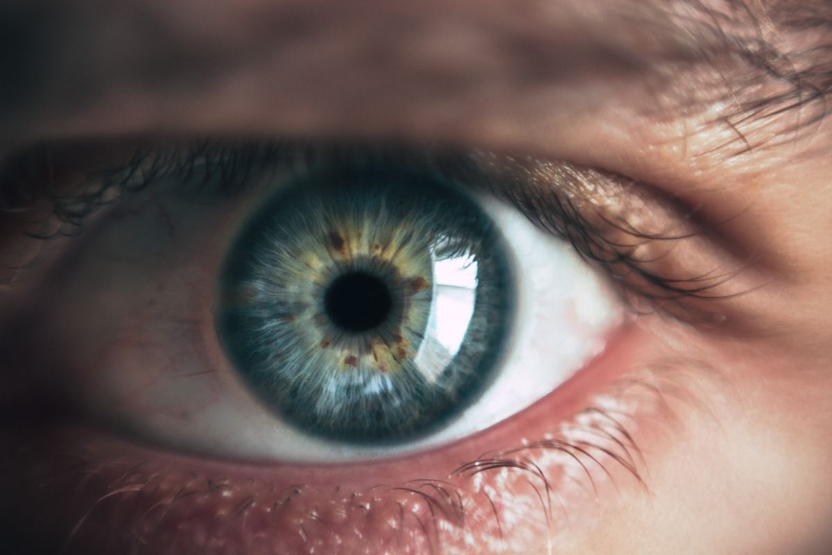 A human eye in close-up, the detector that answers what is light for us