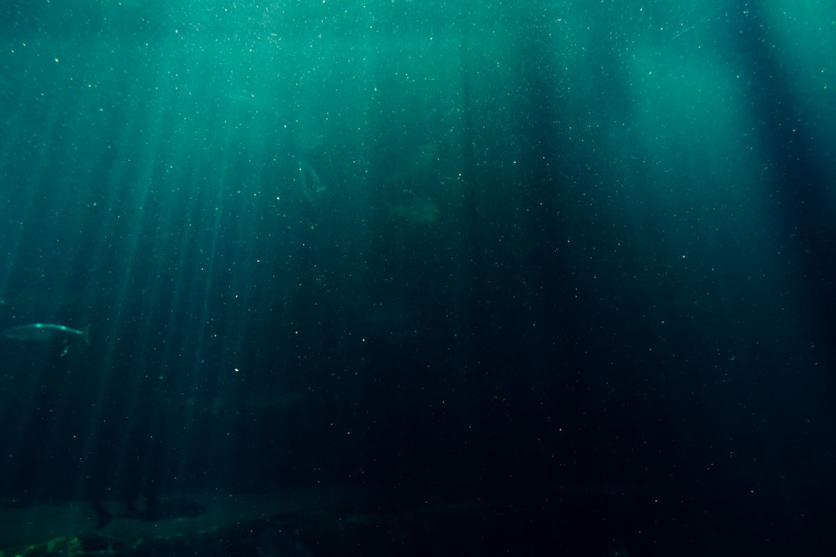Sunlight rays penetrating deep ocean water, a natural example of reflection refraction and absorption as light enters a denser medium