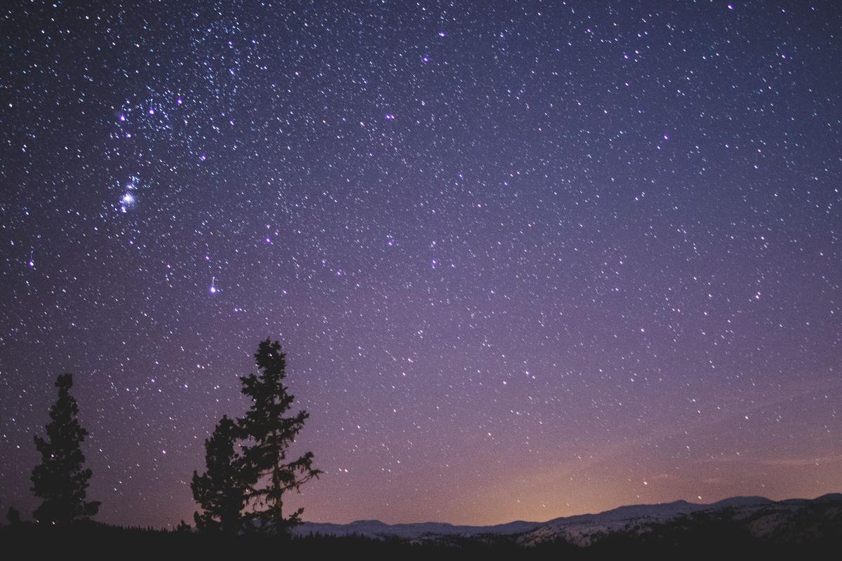 Why stars twinkle but planets don't: a star-filled night sky above silhouetted trees, showing atmospheric turbulence at work