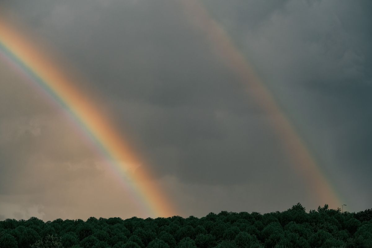 Double rainbow arching over a dense green forest landscape, showing the distinct primary and secondary arcs with reversed colours