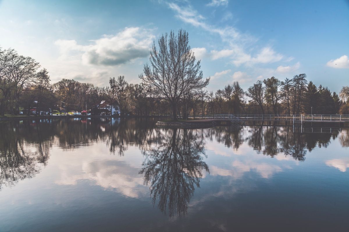A calm lake with clear reflections of trees and sky, representing the type of scene where a circular polarizer filter improves colour and contrast